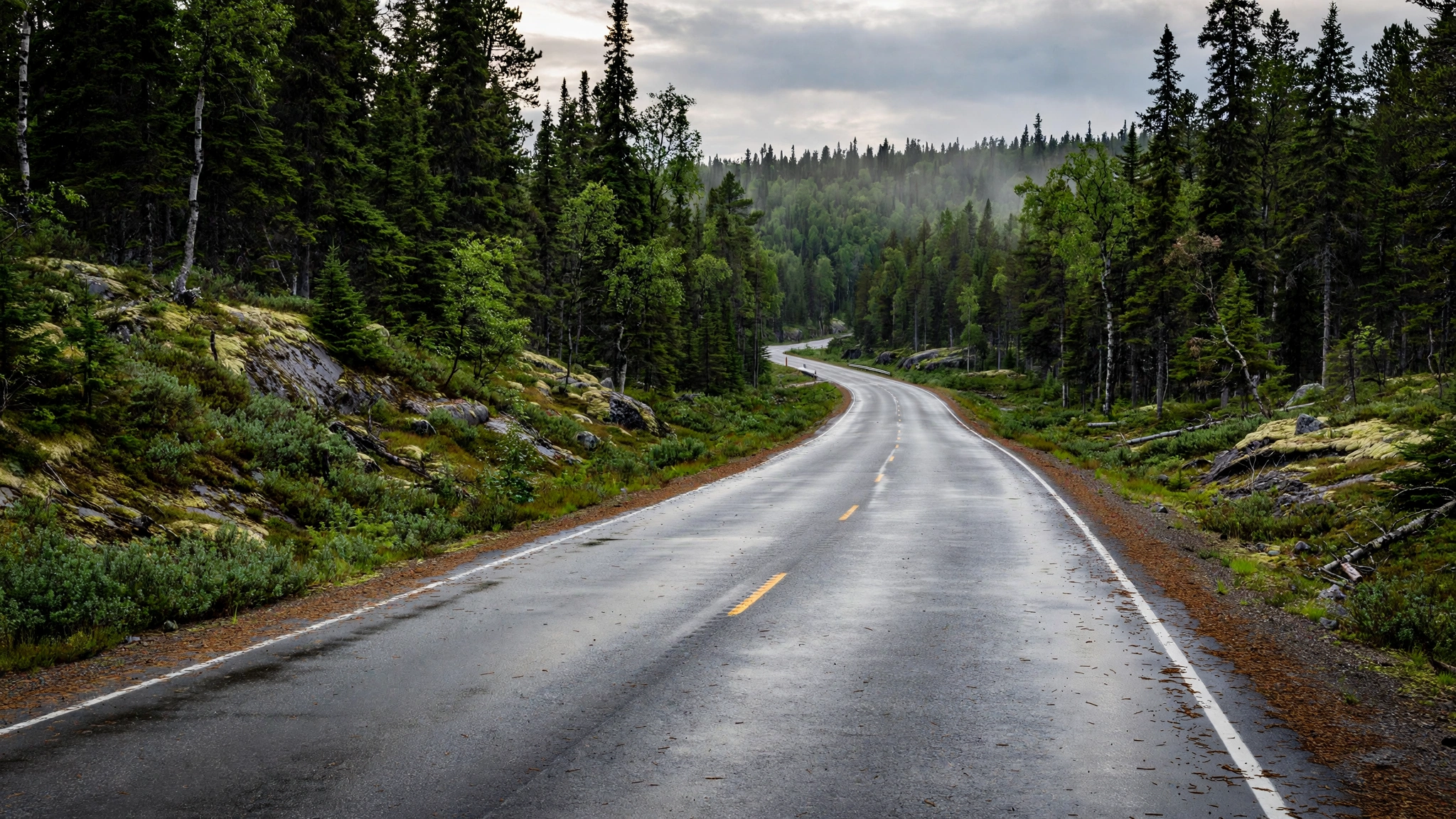 Northern Ontario highway through boreal forest — Ontario G1 practice