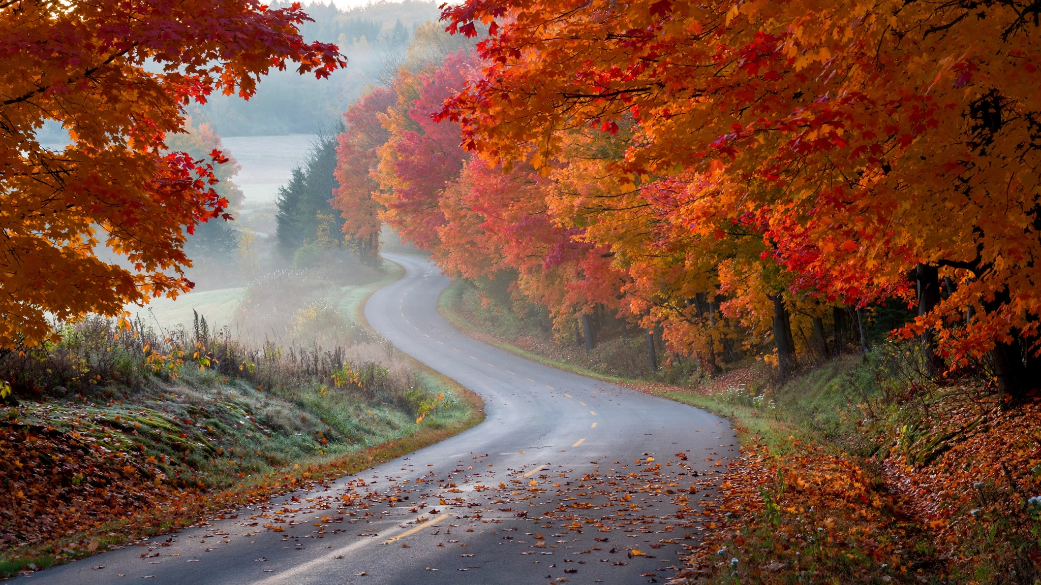 Winding rural Ontario road surrounded by red and orange maple trees in autumn
