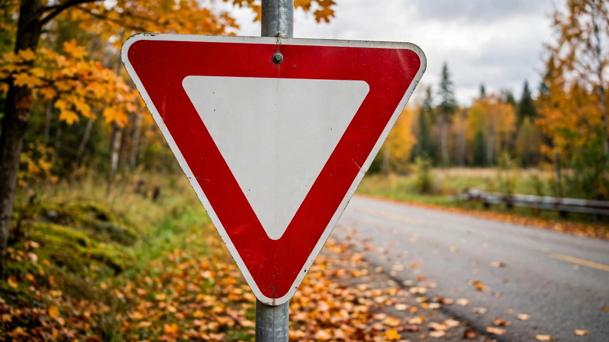 Close-up of a yield road sign — Ontario G1 practice