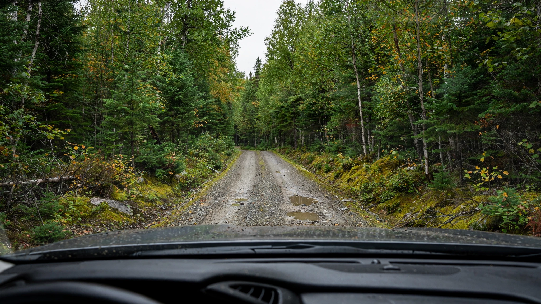 Forest service road — Ontario G1 practice