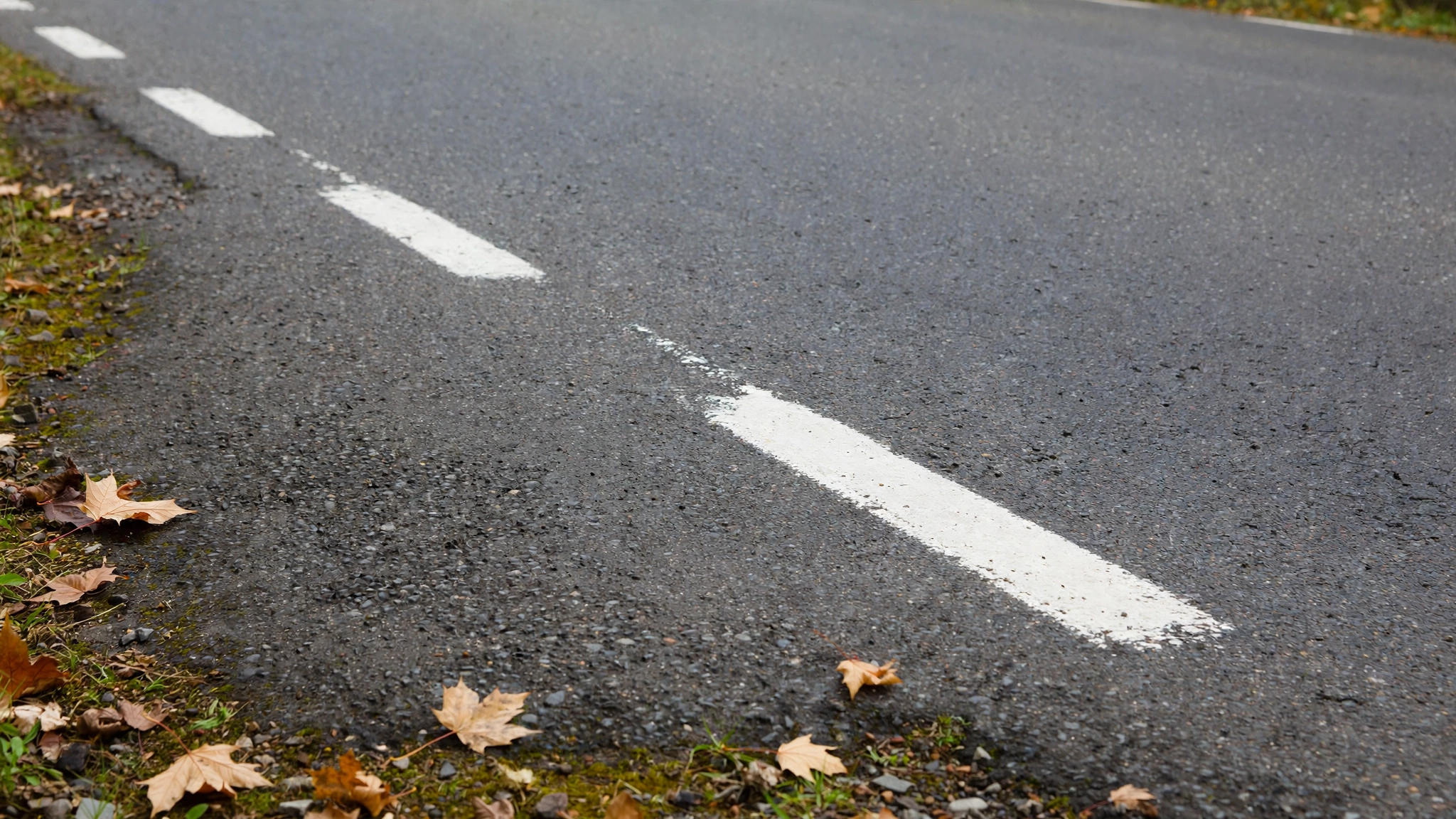Close-up of white lane markings on asphalt — Ontario G1 practice