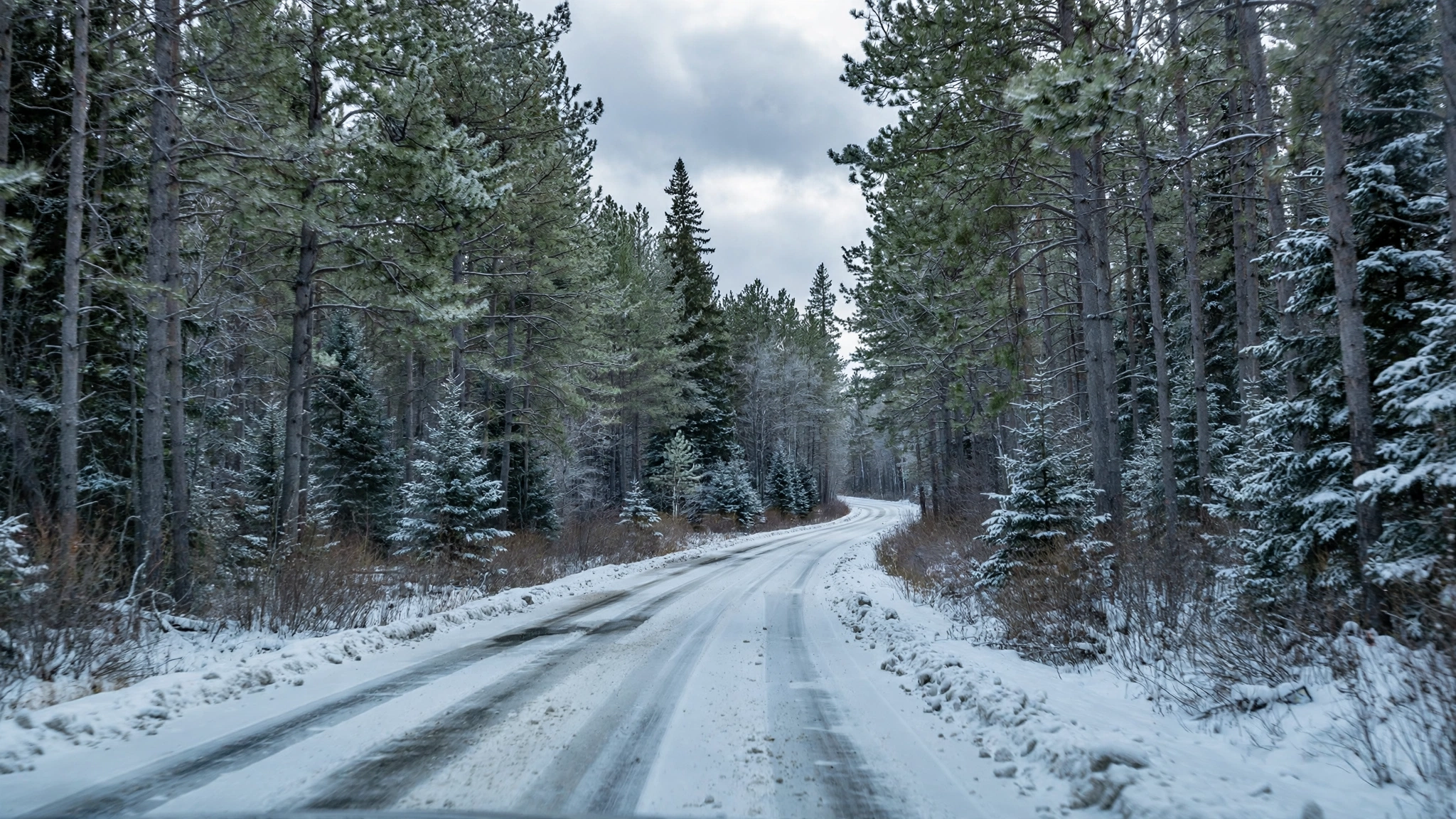 Snowy rural road through a pine forest — Ontario G1 practice